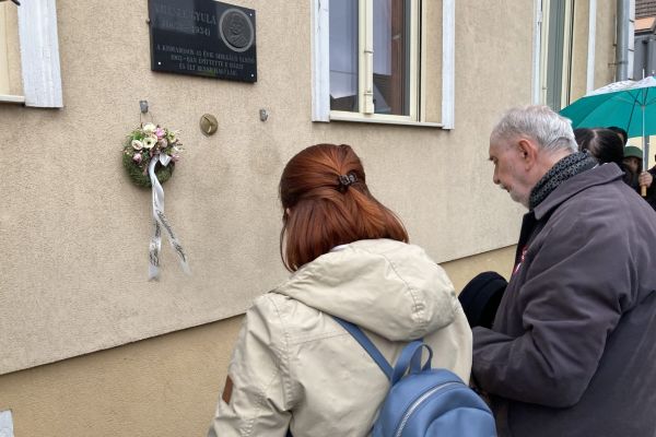 vilcsekgyemlektablakoszoruz-2025mar14-f-csadoklaudia29AC4027F-C82D-3A21-524F-6B3FE98473CB.jpg